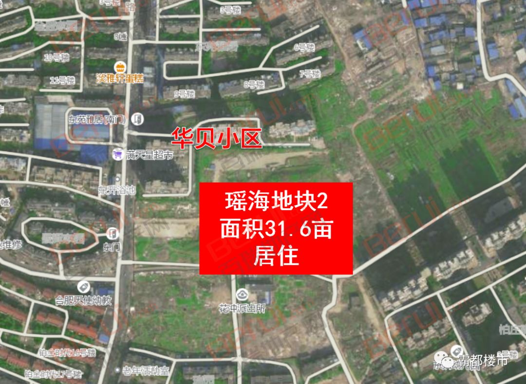 4亩; 小结: 01,瑶海地块分布较广, 大兴镇,龙岗,龙岗北等多个区域均有