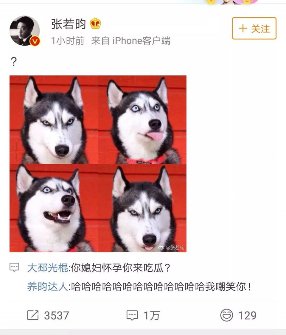 唐艺昕怀孕？！讽刺赵丽颖是谎话精，发博说自己不会劈叉