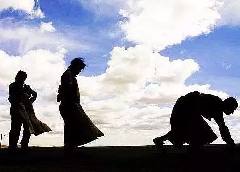 你永远不知道自己会在成人网站上看到什么……