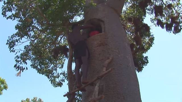 bc7997ae94d74e6eb75734d5c501b942.jpg bc7997ae94d74e6eb75734d5c501b942.jpg