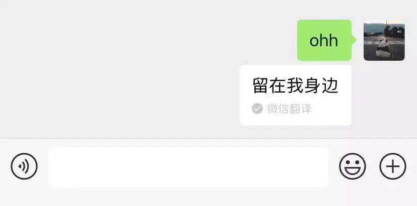 微信翻译在线帮你撩人，谁试都说好 | 唠氪儿