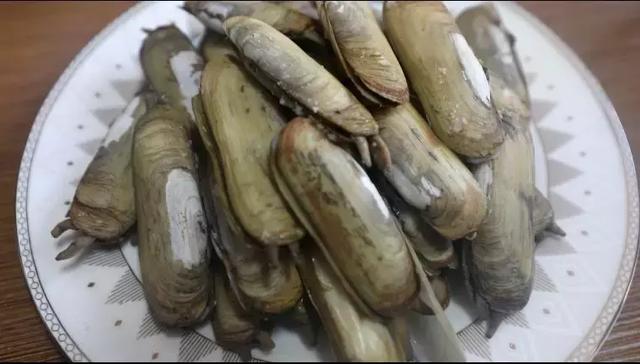 肥腴鲜甜,错过现在的蛏子,等于错过春天!