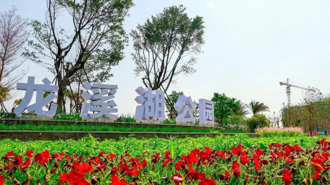 私享龙溪湖公园双景 美好生活尽在江悦城·公园里