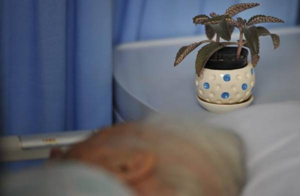 11ba3ee7e4f848e5856a3f303bb77e50.jpg 11ba3ee7e4f848e5856a3f303bb77e50.jpg