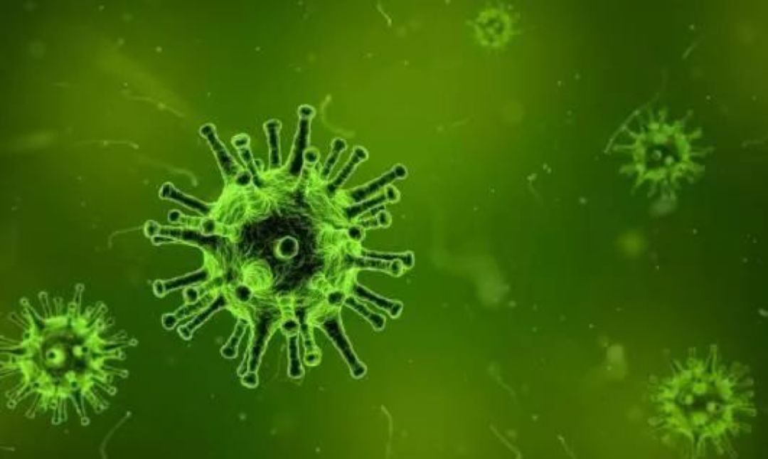 Nat Immunol：科学家成功追寻机体抵挡病毒感染时的蛋白质互作机制