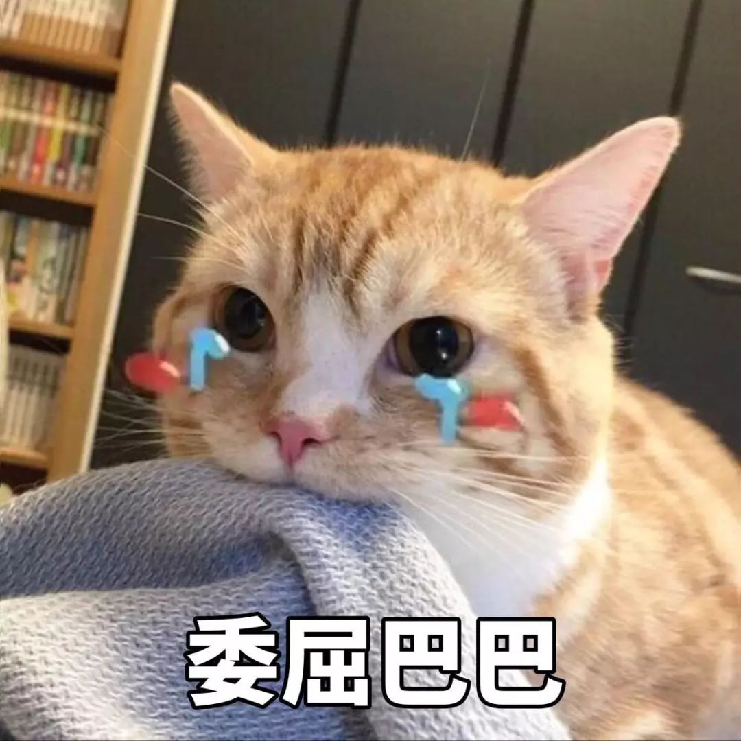 现在的客服，不仅嘲笑我胖还告诉我买的是假货｜唠氪儿