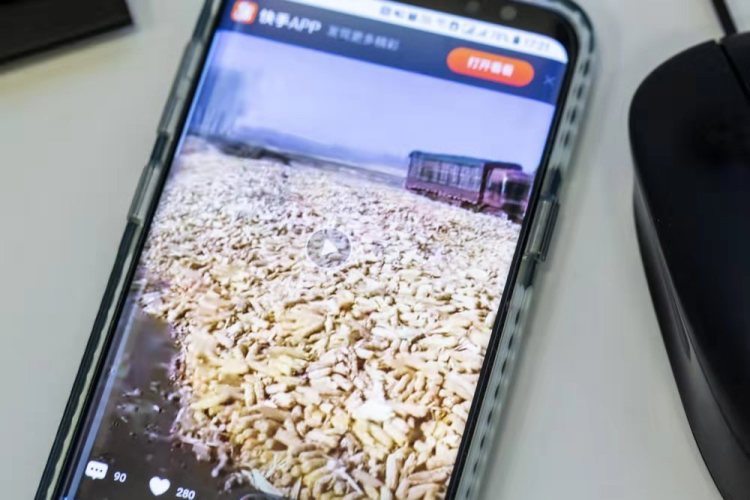 投资者通过快手抖音来获取农产品市场行情