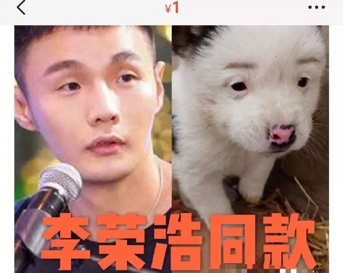 马化腾评“露露事件” :值得腾讯警醒；拼多多发布2018年第四季度财报，收盘跌17.45%；陌陌秘密发布6款产品 | 猬