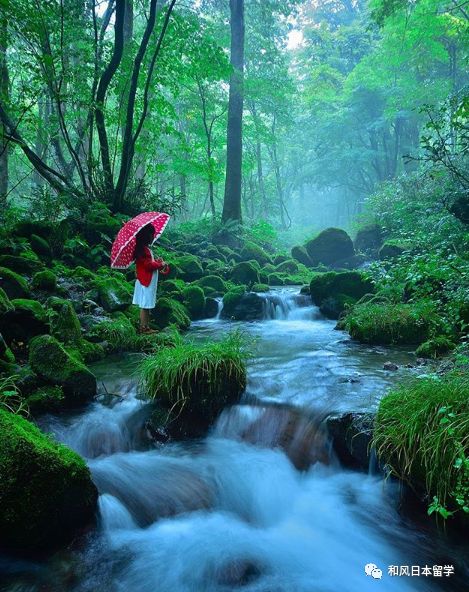 https://image.ipaiban.com/upload-ueditor-image-20190313-1552465839136009601.png