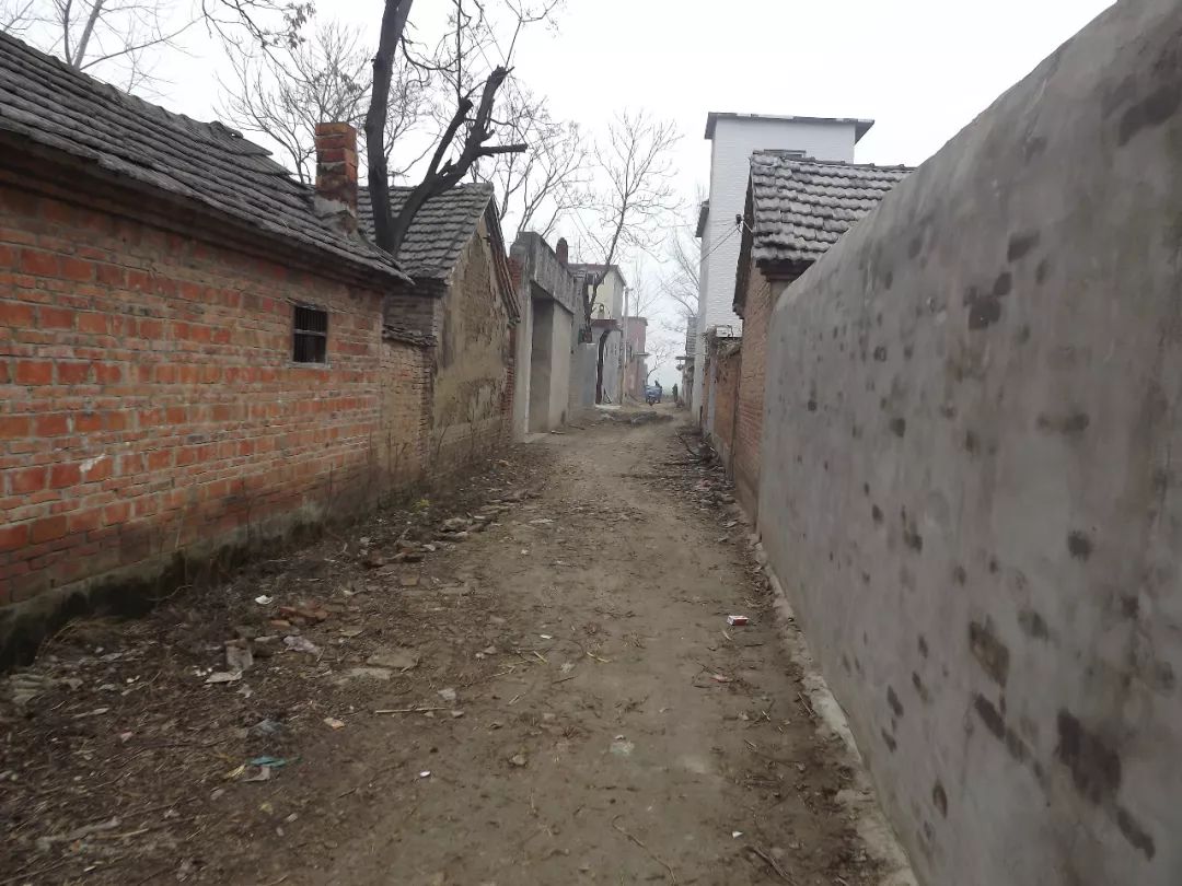 愤怒过后，我发现《都挺好》的故事就在身边