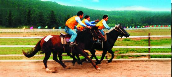 还是河边放风筝?武隆仙女山20000个风筝免费送 大草原上玩纸鸢