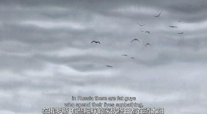 只有7分半钟还拿奥斯卡,这些小动画也一定要马住!