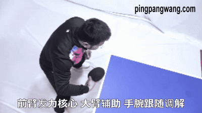 反手拨球像挖掘机铲土,肘关节并非完全固定,要这样去支承最合理