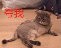 林允儿的神颜也崩了！脸歪+填充成气球，这两道沟又是什么鬼？