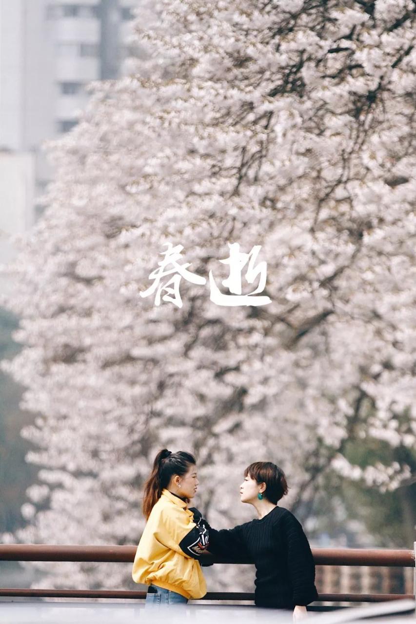 在成都的春天里站了一会儿，好像去了趟京都