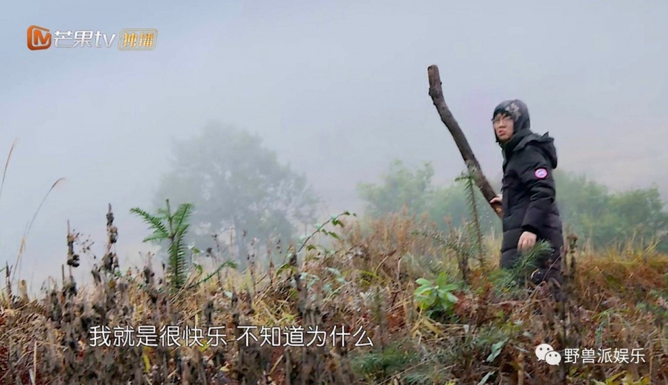 一个话痨，一个段子手，我发现了两个妙人儿…