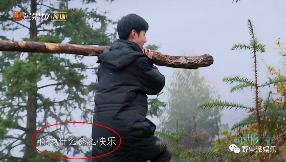 一个话痨，一个段子手，我发现了两个妙人儿…
