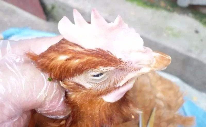 cec0486ef24e4a5ca0111acfa3d694d3.jpg cec0486ef24e4a5ca0111acfa3d694d3.jpg