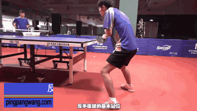 专业队反手拨球时,身体会前倾到这个程度,脚下站位和业余也不同