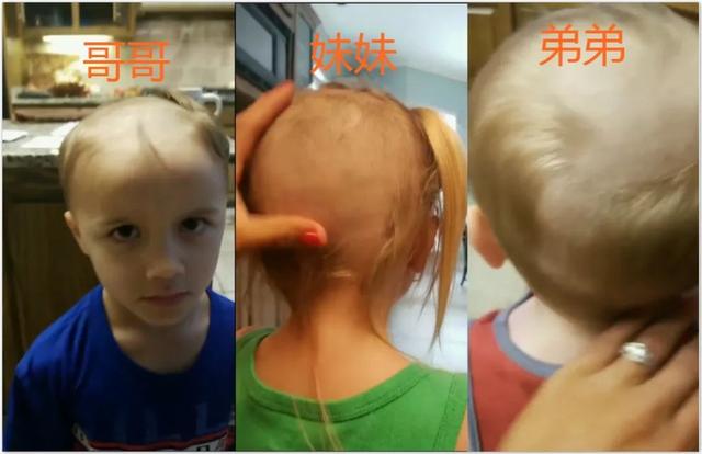 小萝莉被哥哥剃光头,求妈妈把头发种回头上:呜呜呜快把我哥带走