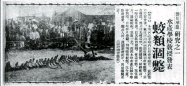 中国十大传闻之一,1934年营口坠龙事件完整揭秘始末