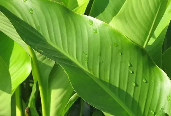 19c6ae85d63744f8a872a43fc7ad832b.jpg 19c6ae85d63744f8a872a43fc7ad832b.jpg