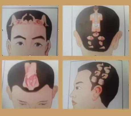 看懂这张图,穴位不用找(人体全息图)