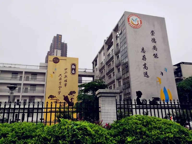 金沙洲公办小学~金沙小学,沙凤小学招生简章