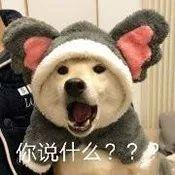 大牌里的成分这些国货里都有？还卖得贼便宜
