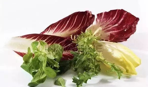 看了食神蔡澜的死前必吃清单，网友惊了：第一种就没吃过！