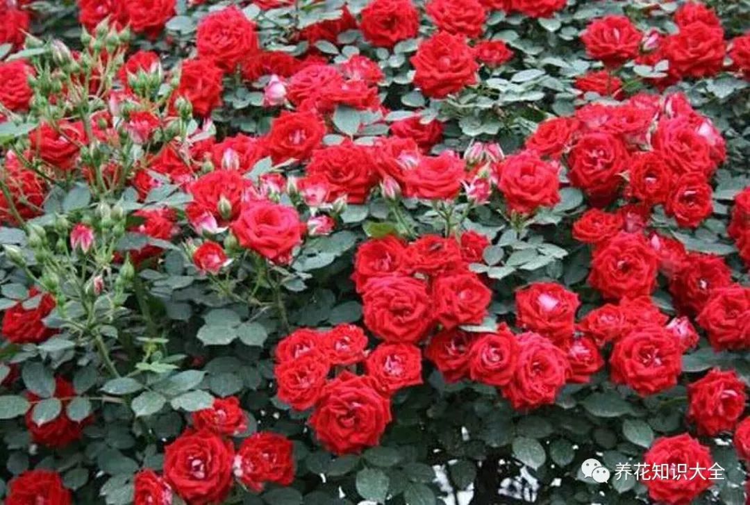 点击查看源网页