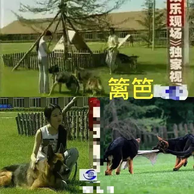 刘亦菲不惧绯闻,带母亲与“干爹”陈金飞聚餐热聊