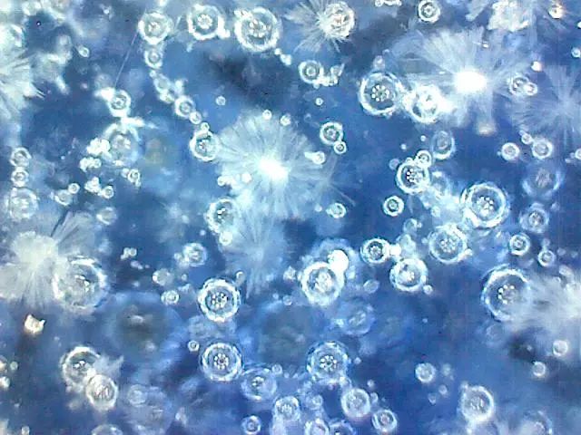 156、瓷器微观典型特征