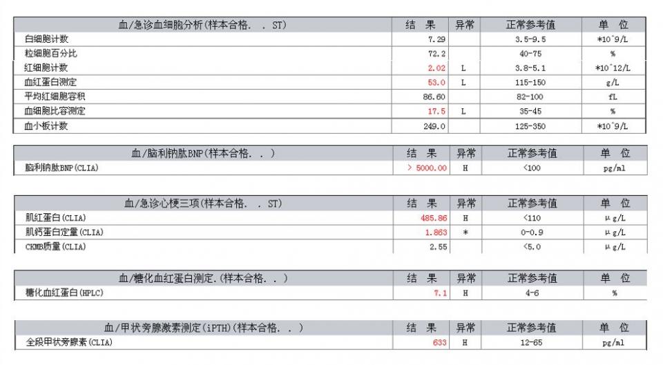 辅助检查结果 心电图