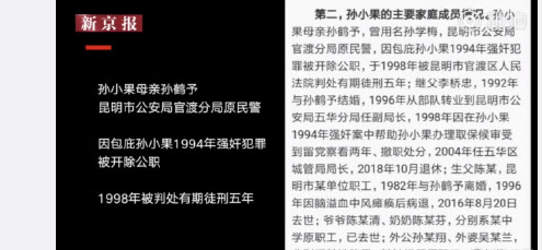 孙小果母亲的3家企业其中一4层商铺市值200万