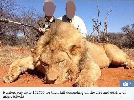 战利品狩猎（图片源于网络）