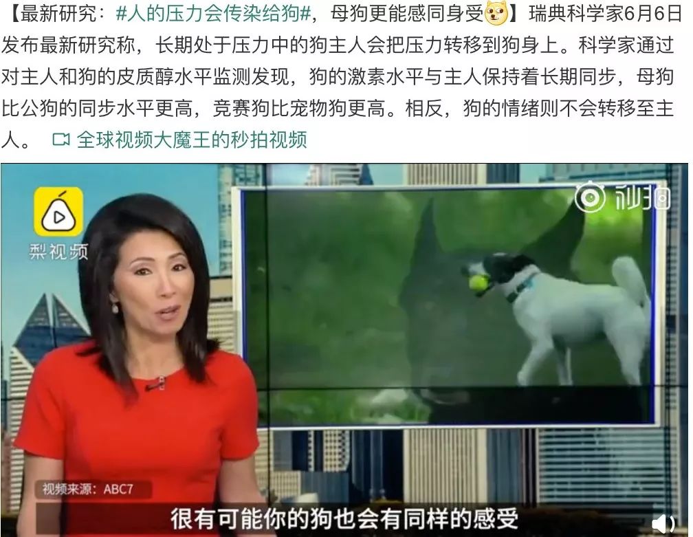 “我的负能量，连狗都害怕……”