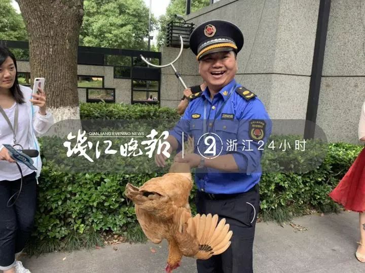 文章配图