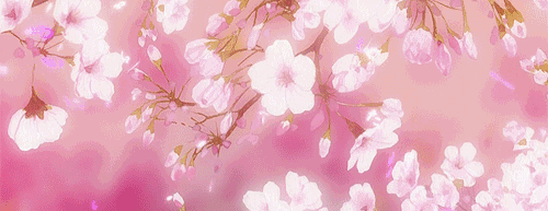 背景 壁纸 500_193 gif 动态图 动图