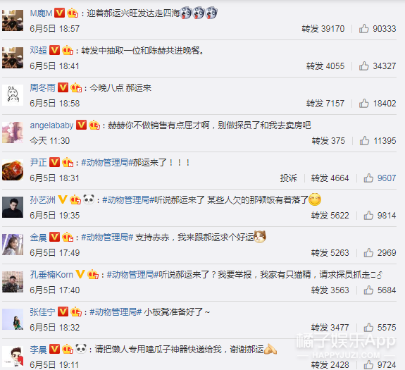 只有24集的国产剧，强烈推荐！