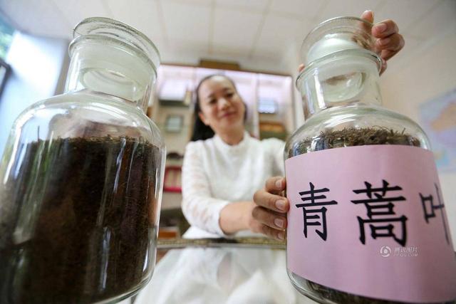 摸底青蒿素市场：外企吃肉中企喝汤，只卖原料市场份额不足1%