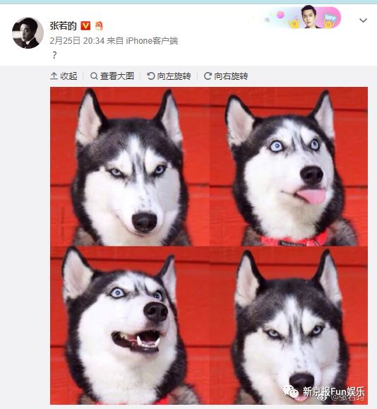 又甜又稳!他俩结婚算是万众期待的事儿吧?