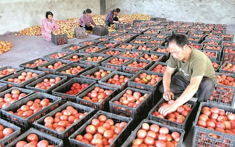 绿色农产品加工基地