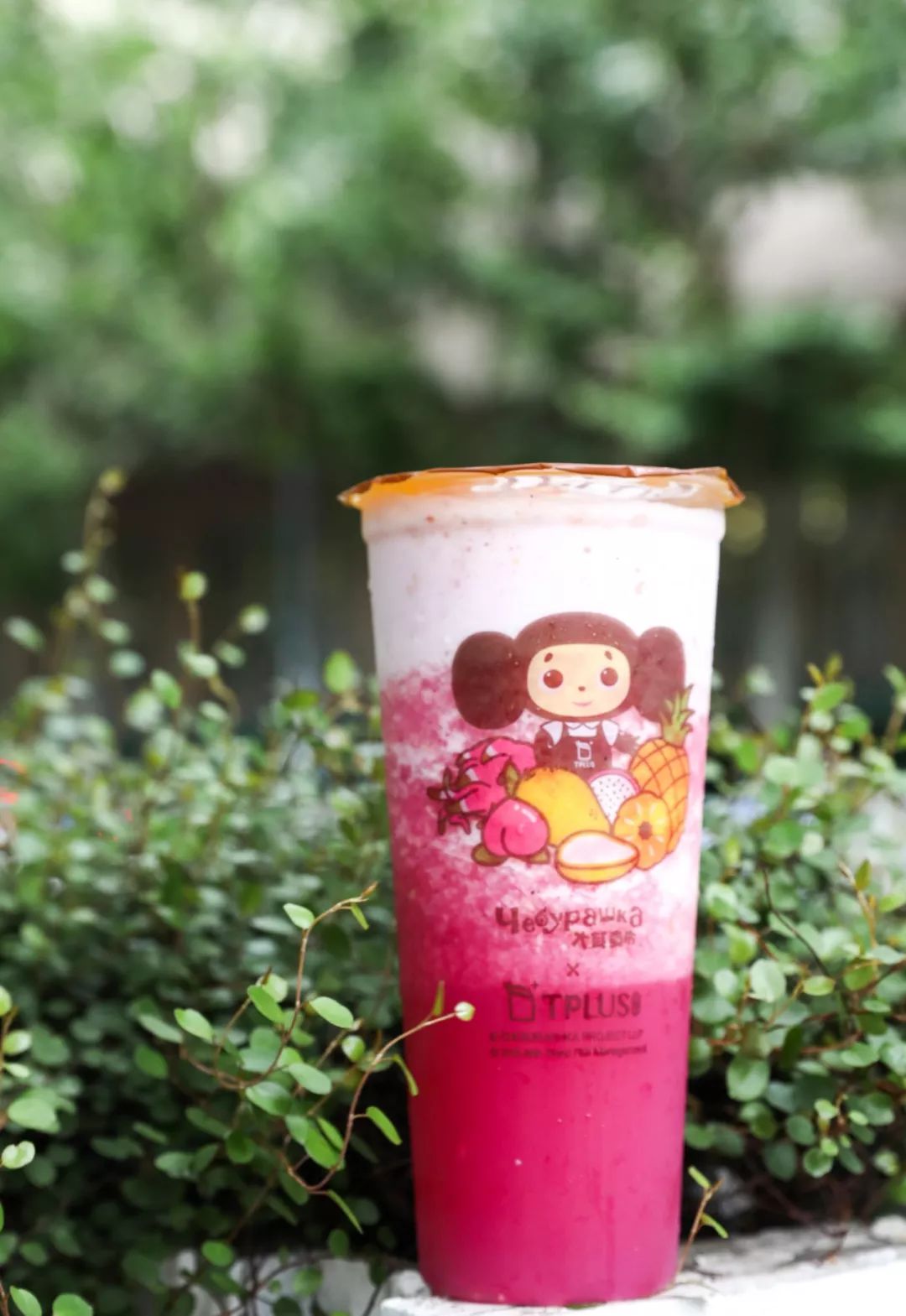 减龄神器!魔都人手一杯の「少女茶」
