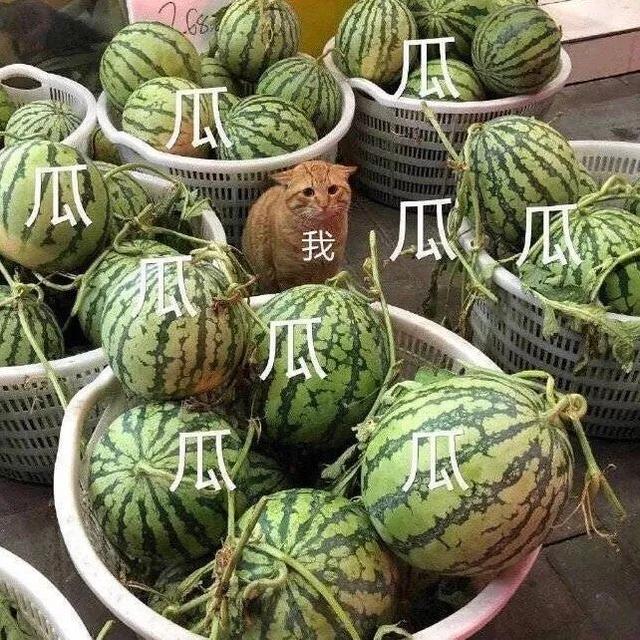 吴刚拒绝“老戏骨”标签：被粉丝喊哥哥挺好的啊
