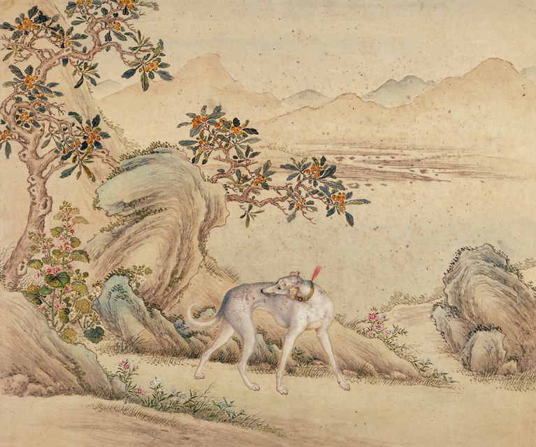 清 艾启蒙 十骏犬图册之「苍水虬」 纸本设色 纵二四·五厘米 横二九·三厘米 故宫博物院藏
