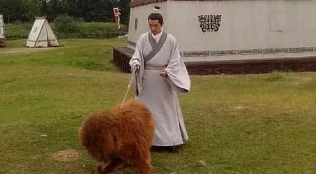 琅琊榜:最早认出梅长苏是林殊的,不是静妃,而是靖王养的这匹狼