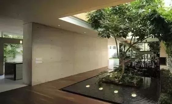 有一种天井叫花园----100款天井花园,准有一款适合您__凤凰网