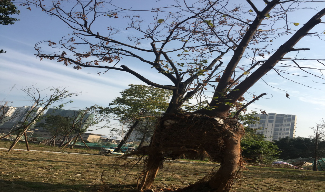 难以置信（工作中生活里尽量把自己低到尘埃里）工作中生活里都有老师，努力工作 发现生活中的小确幸，秦汉风云实景演出，