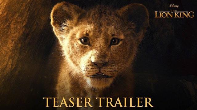 现实版《狮子王》:跟随非洲大猫守望者,探寻自然的野性之美